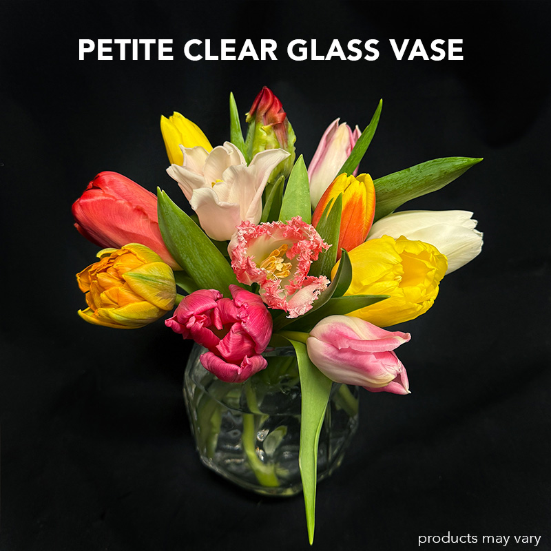 Tulip Twirl - Image 3