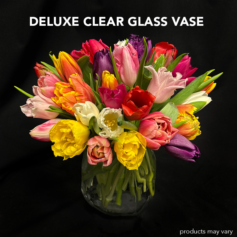 Tulip Twirl - Image 9