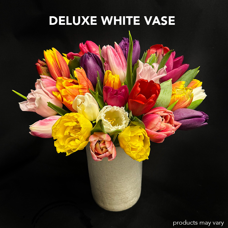 Tulip Twirl - Image 10