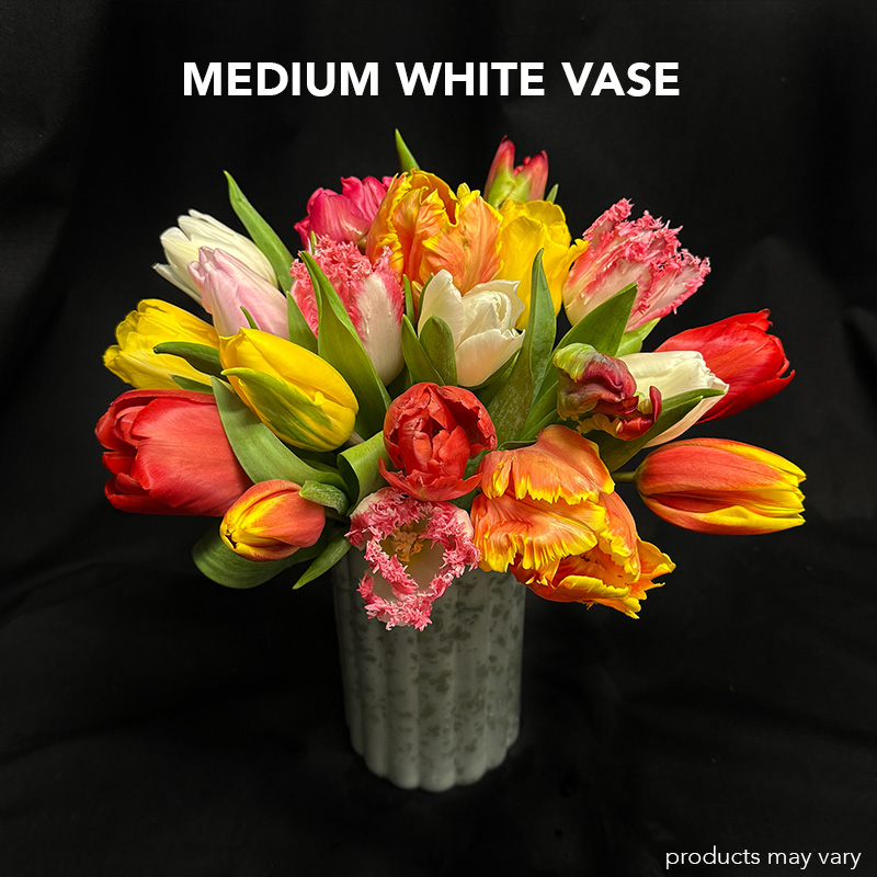 Tulip Twirl - Image 7