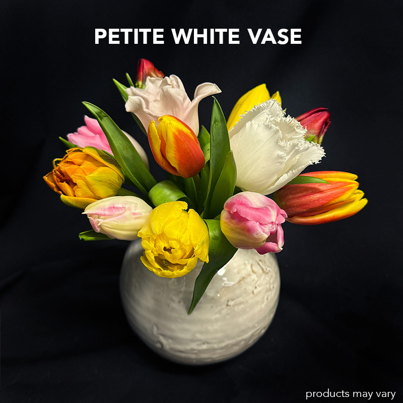 Tulip Twirl - Image 4