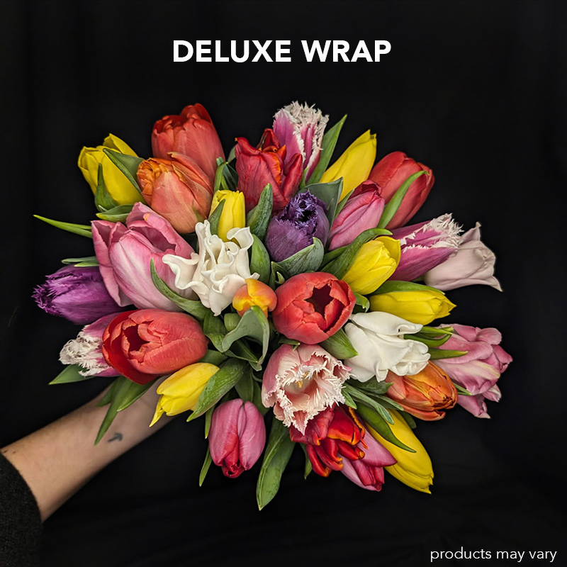 Tulip Twirl - Image 8