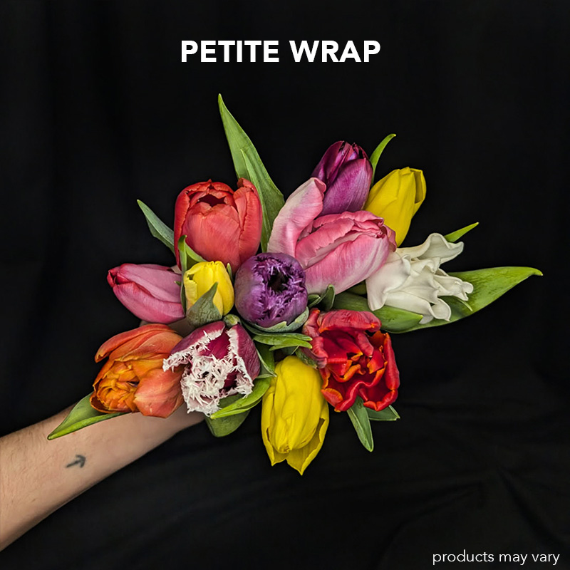 Tulip Twirl - Image 2